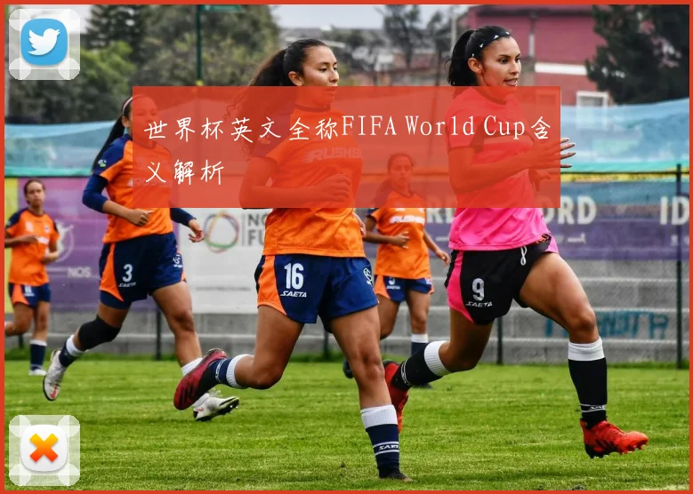 世界杯英文全称FIFA World Cup含义解析