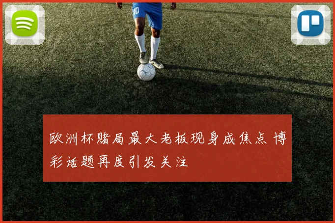 欧洲杯赌局最大老板现身成焦点 博彩话题再度引发关注