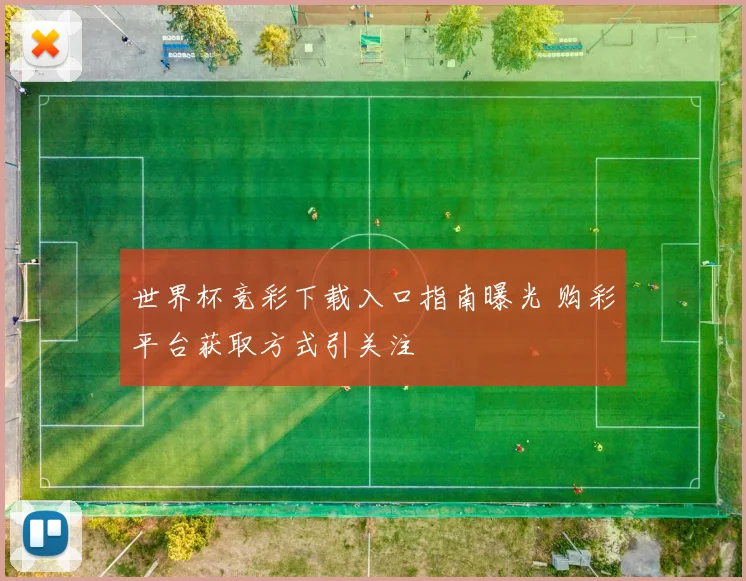 世界杯竞彩下载入口指南曝光 购彩平台获取方式引关注