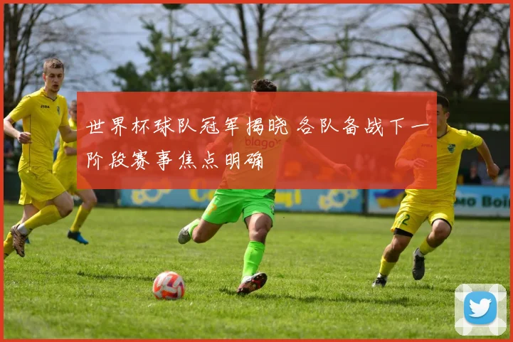 世界杯球队冠军揭晓 各队备战下一阶段赛事焦点明确