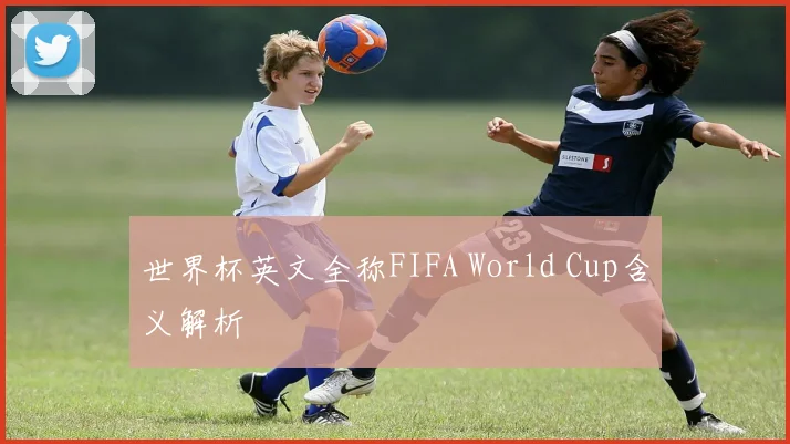 世界杯英文全称FIFA World Cup含义解析